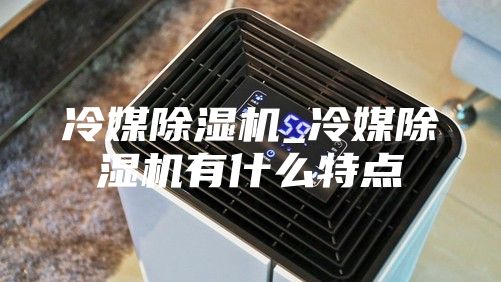 冷媒除湿机_冷媒除湿机有什么特点