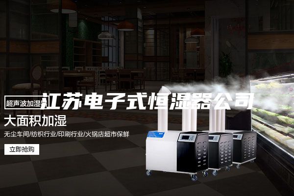 江苏电子式恒湿器公司