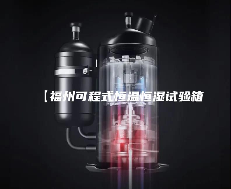 【福州可程式恒温恒湿试验箱