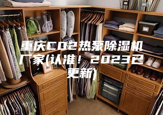 重庆CO2热泵除湿机厂家(认准！2023已更新)