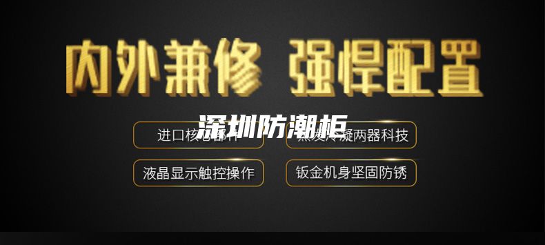 深圳防潮柜