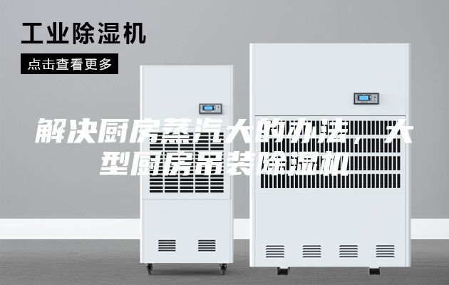 解决厨房蒸汽大的办法，大型厨房吊装除湿机