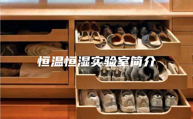 恒温恒湿实验室简介