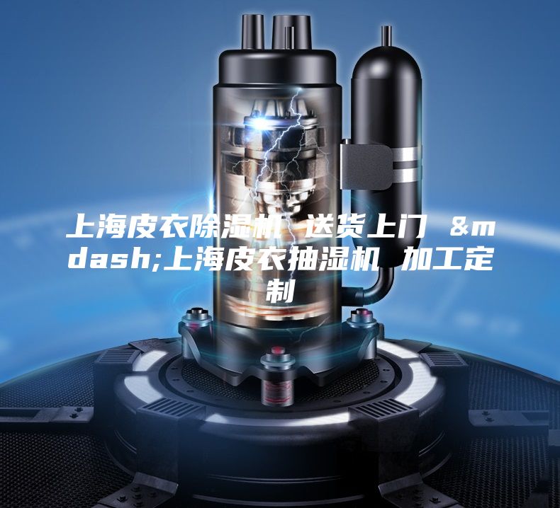 上海皮衣除湿机 送货上门 —上海皮衣抽湿机 加工定制