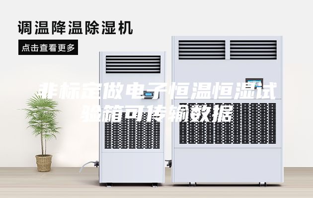 非标定做电子恒温恒湿试验箱可传输数据