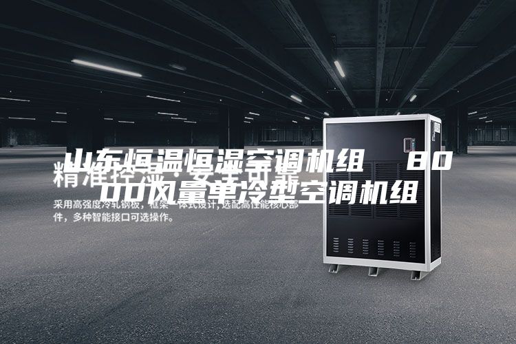 山东恒温恒湿空调机组  8000风量单冷型空调机组