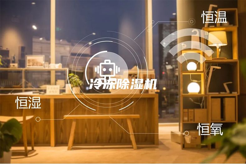 冷冻除湿机