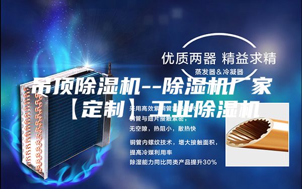 吊顶除湿机--除湿机厂家【定制】工业除湿机