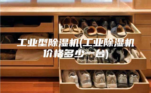 工业型除湿机(工业除湿机价格多少一台)