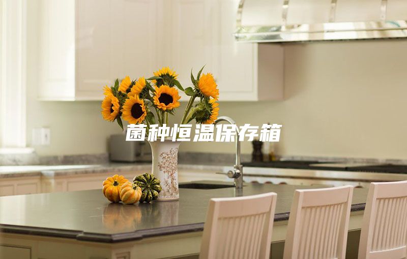 菌种恒温保存箱