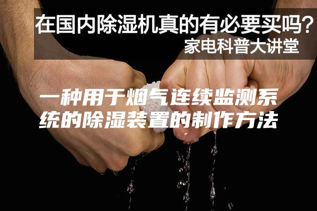 一种用于烟气连续监测系统的除湿装置的制作方法