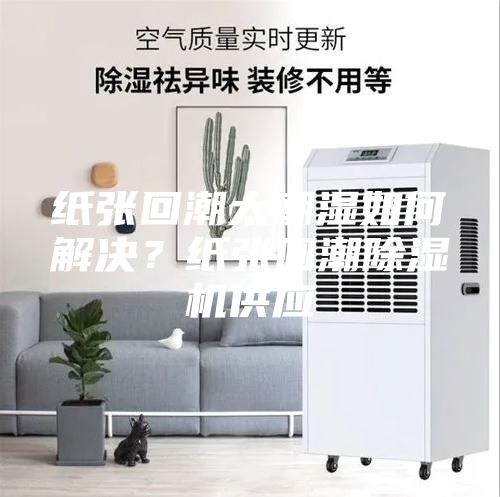 纸张回潮太潮湿如何解决？纸张回潮除湿机供应