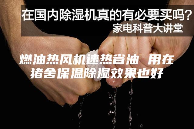 燃油热风机速热省油 用在猪舍保温除湿效果也好