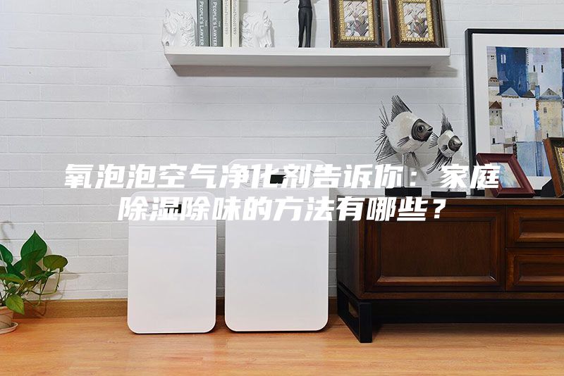 氧泡泡空气净化剂告诉你：家庭除湿除味的方法有哪些？