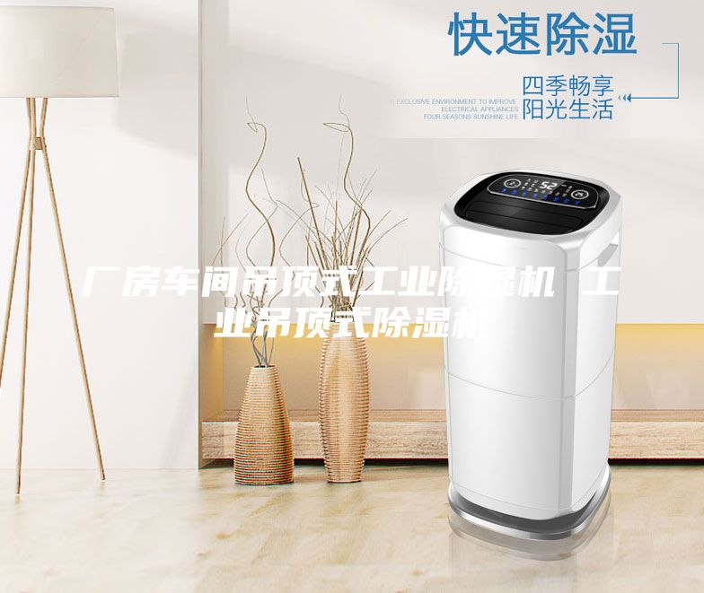 厂房车间吊顶式工业除湿机 工业吊顶式除湿机