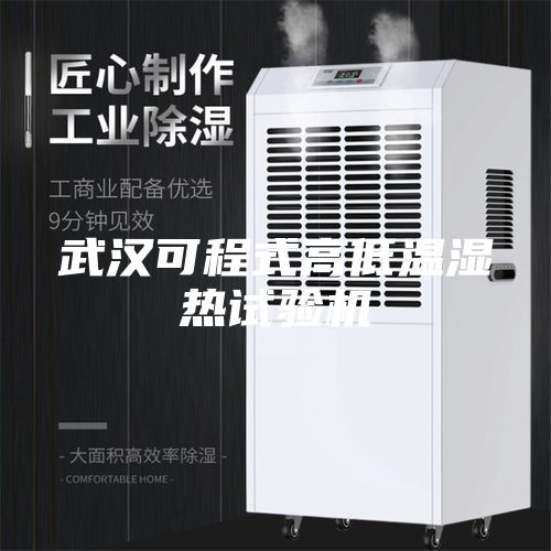 武汉可程式高低温湿热试验机
