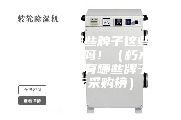 抽湿器有哪些牌子这些品牌效果很好吗!(朽木难雕的抽湿器有哪些牌子品牌排行采购榜)
