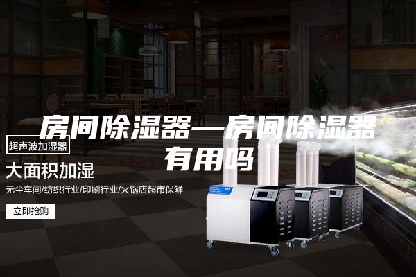 房间除湿器—房间除湿器有用吗
