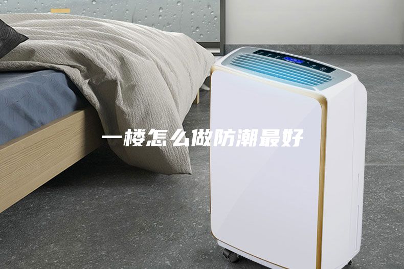 一楼怎么做防潮最好