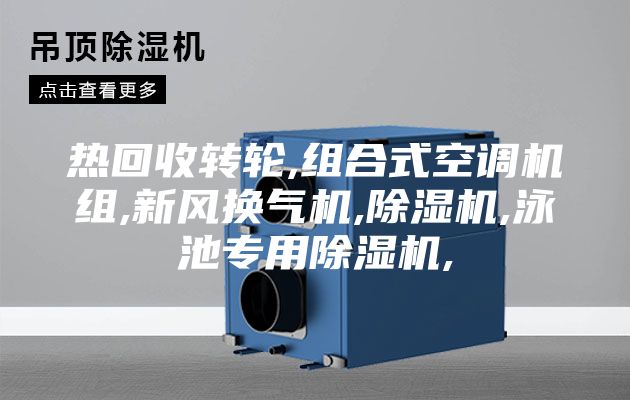 热回收转轮,组合式空调机组,新风换气机,除湿机,泳池专用除湿机,