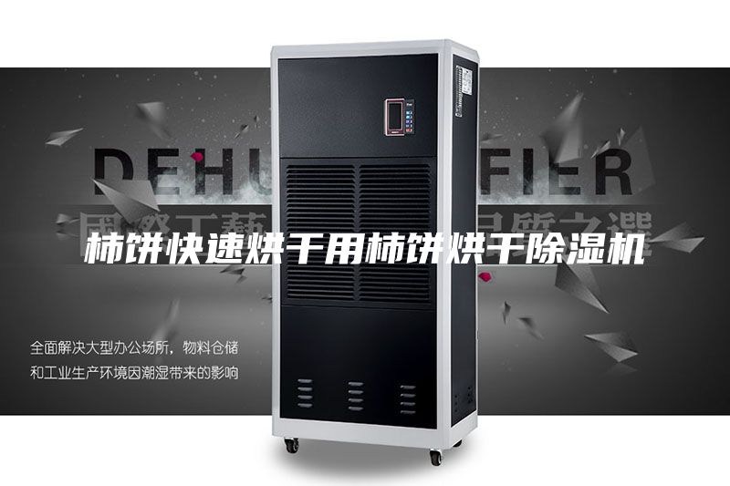 柿饼快速烘干用柿饼烘干除湿机