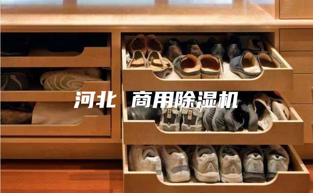 河北 商用除湿机