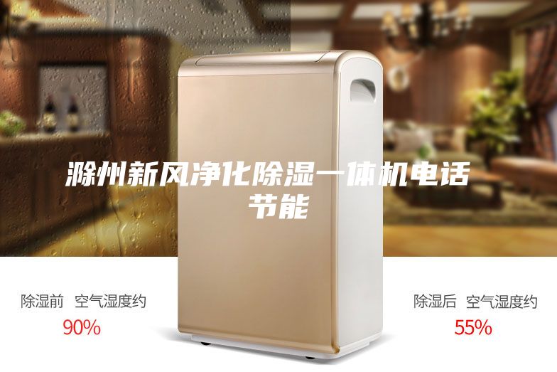 滁州新风净化除湿一体机电话 节能