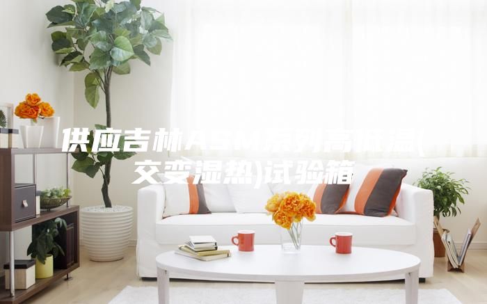 供应吉林ASM系列高低温(交变湿热)试验箱