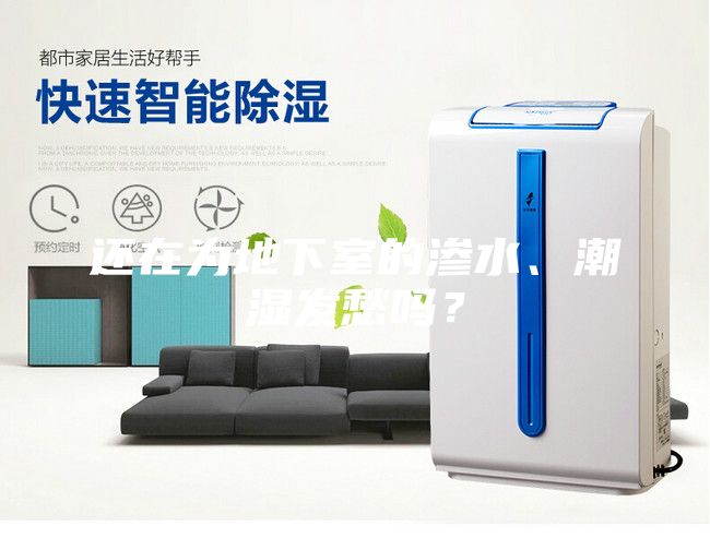 还在为地下室的渗水、潮湿发愁吗？