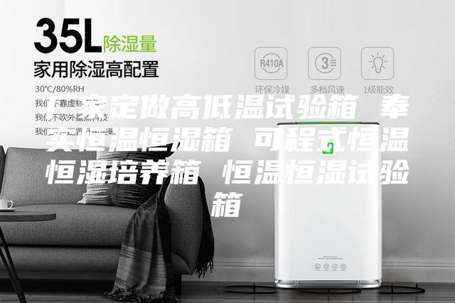 厂家定做高低温试验箱 奉实恒温恒湿箱 可程式恒温恒湿培养箱 恒温恒湿试验箱