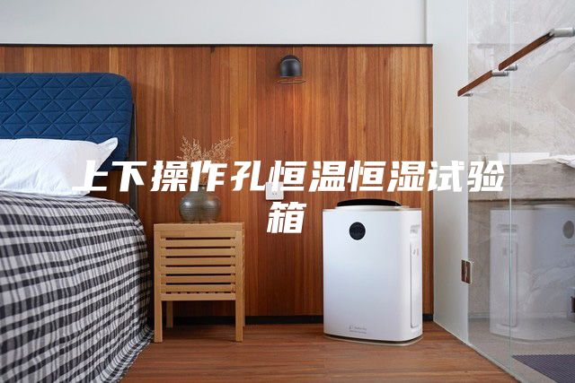 上下操作孔恒温恒湿试验箱