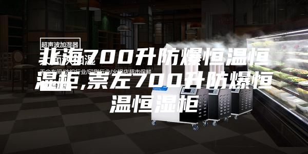 北海700升防爆恒温恒湿柜,崇左700升防爆恒温恒湿柜