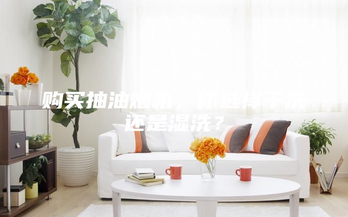 购买抽油烟机，你选择干洗还是湿洗？