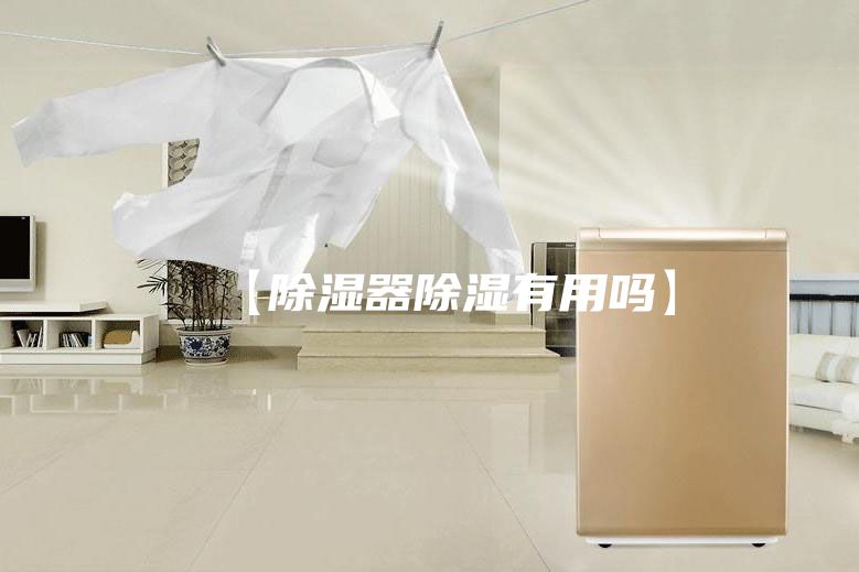 【除湿器除湿有用吗】