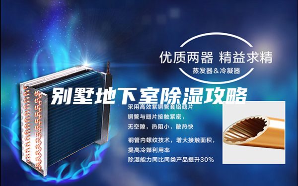 别墅地下室除湿攻略