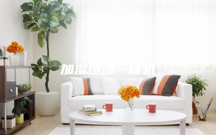 加湿恒湿一体机