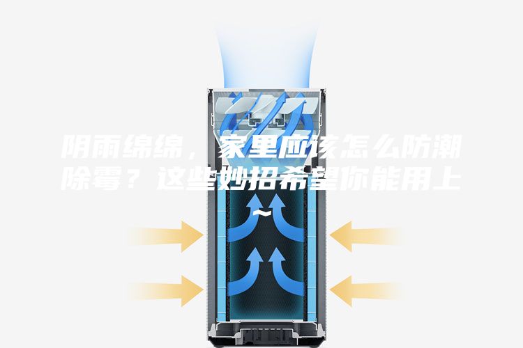 阴雨绵绵，家里应该怎么防潮除霉？这些妙招希望你能用上~