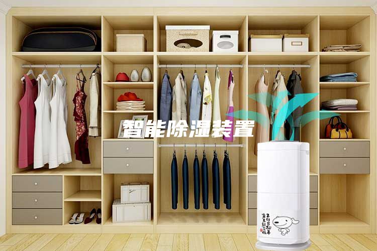 智能除湿装置