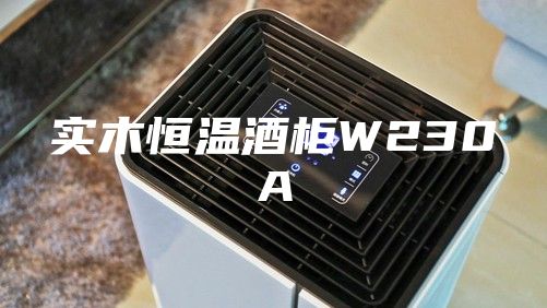 实木恒温酒柜W230A