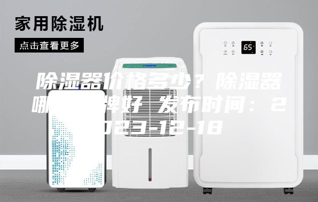 除湿器价格多少？除湿器哪个品牌好 发布时间：2023-12-18