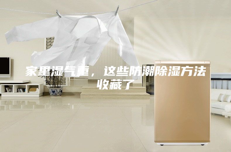 家里湿气重，这些防潮除湿方法收藏了