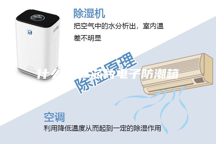 什么是IC芯片电子防潮箱