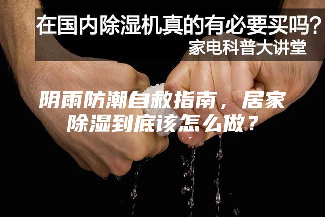 阴雨防潮自救指南，居家除湿到底该怎么做？