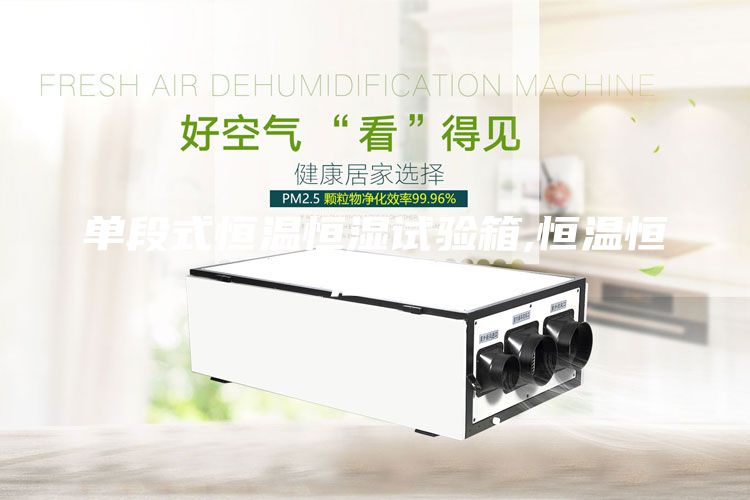 单段式恒温恒湿试验箱,恒温恒湿箱