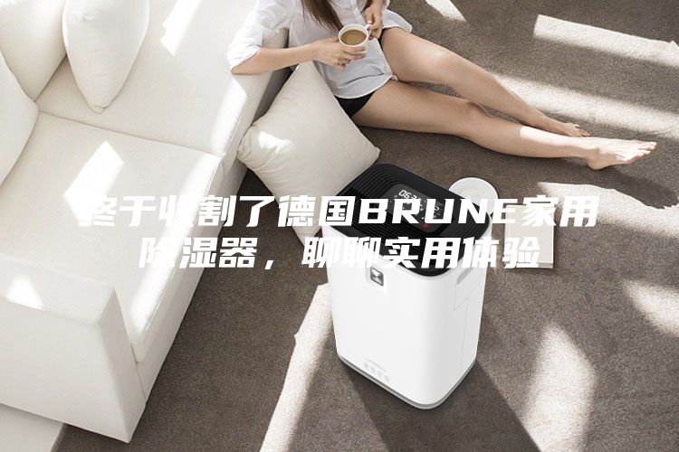 终于收割了德国BRUNE家用除湿器，聊聊实用体验