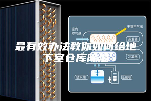 最有效办法教你如何给地下室仓库除湿