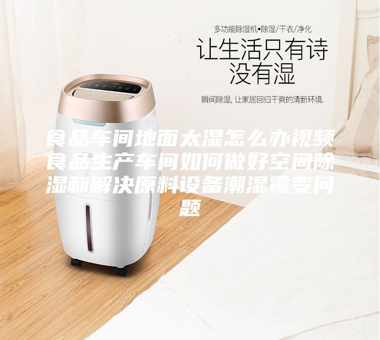 食品车间地面太湿怎么办视频食品生产车间如何做好空间除湿和解决原料设备潮湿霉变问题