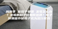 梅雨季 新鞋子受潮 发霉怎么办？发霉的鞋子该如何处理？电子防潮箱存储鞋子成为流行时尚