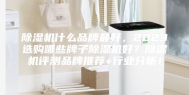 除湿机什么品牌最好，2023选购哪些牌子除湿机好？除湿机评测品牌推荐+行业分析！
