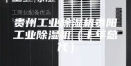 贵州工业除湿机贵阳工业除湿机（十年总代）